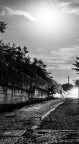insonnia insonnia