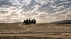 I cipressi ma non di Carducci I cipressi ma non di Carducci