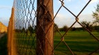 Web Brown Web Brown