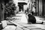 Vietato Passare Vietato Passare