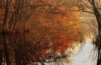 Lo splendore dell'autunno Lo splendore dell'autunno
