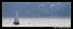 Navigazione solitaria Navigazione solitaria