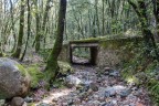 Foresta Marganai