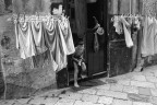 Palermo, 2016 Palermo, 2016