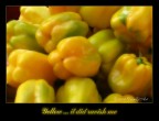 Yello addiction Yello addiction