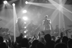 LIVE LIVE