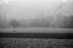 Preludio di inverno Preludio di inverno
