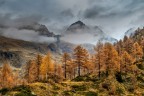 I colori dell'autunno I colori dell'autunno