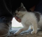 Le coccole a Min�