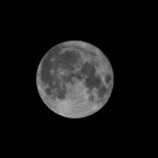 ripresa con canon eos 7D 100 iso 1/2500 sec tele newton 150mm f/2.8