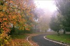 Note d'autunno... Note d'autunno...