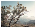 Autunno assolato Autunno assolato