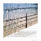 Emozioni viaggiano sulle onde...