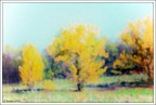 Autunno...........analogico Autunno...........analogico