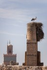 Un giorno a Marrakech Un giorno a Marrakech