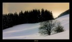 Snow Snow