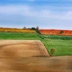 United color of Langhe
