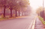 Insolita nebbia autunnale nel cuore della periferia romana