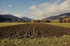 profondità profondità