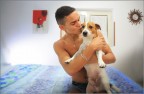 Il fenomeno