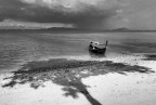 La grande ombra