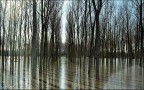 riflesso, riflusso ;/) riflesso, riflusso ;/)