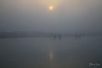 Prime luci del mattino e nebbia sul delta del Po Prime luci del mattino e nebbia sul delta del Po