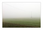 L'odore della nebbia L'odore della nebbia