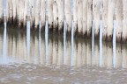 beach pattern beach pattern