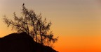 Di vedetta all'alba Di vedetta all'alba