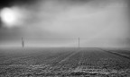 Nebbia Nebbia