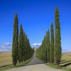 Gradini d'ombra - Val d'Orcia (Si)