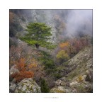 Desiderio contro il tempo