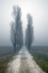 nebbia e sabbia