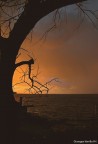 Al tramonto Al tramonto