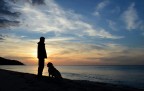 Il miglior amico dell'uomo Il miglior amico dell'uomo