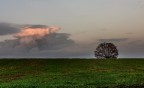 The Cloud The Cloud