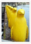 Pinguini Pinguini