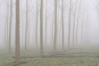 Padania_4 Padania_4