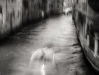 Mosso a Venezia