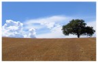 montalcino_05 montalcino_05
