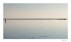 2007/5001 2007/5001