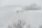 NevBia NevBia