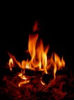 ***Continua il freddo...*** ***Continua il freddo...***