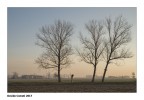 03_17 03_17