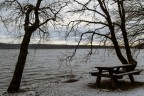 in silenzio parlami... in silenzio parlami...