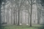 Con le amiche al parco Con le amiche al parco