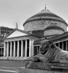 Piazza del Plebiscito. Piazza del Plebiscito.