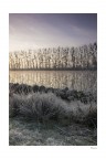 Le Rive della Senna Le Rive della Senna