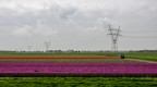 Paesaggio holland Paesaggio holland